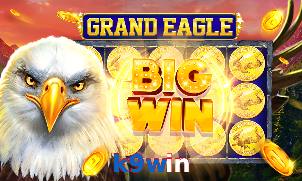 k9win