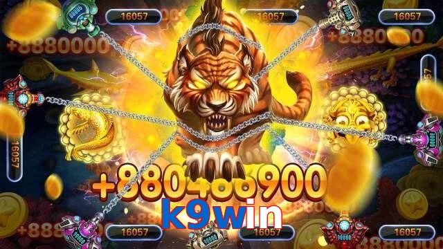 k9win